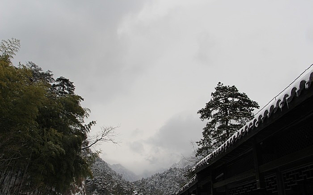 ���ջ�ɽѩ��