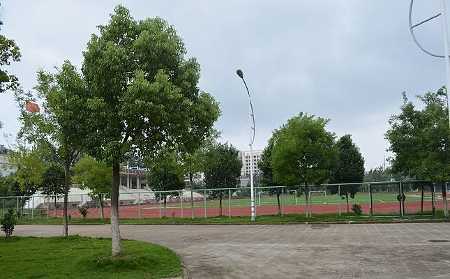 ���ս�����ѧ������