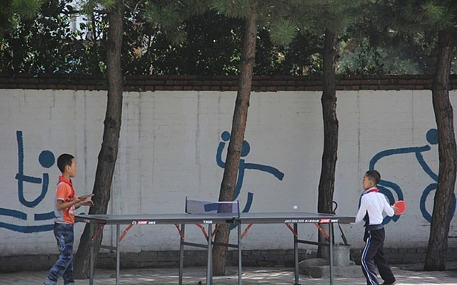 ��ƹ����ĺ���