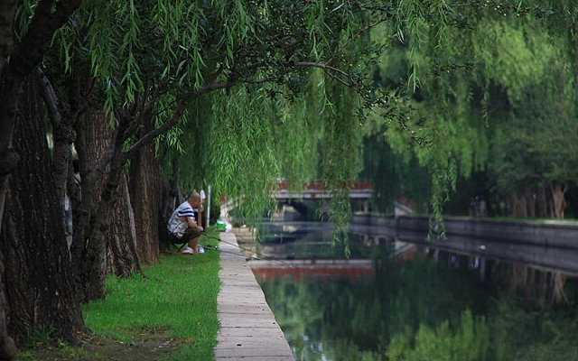 Ԫ����ַ��԰��С