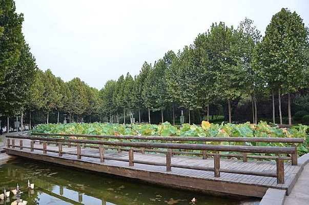 ˮ���ϵ�ľջ