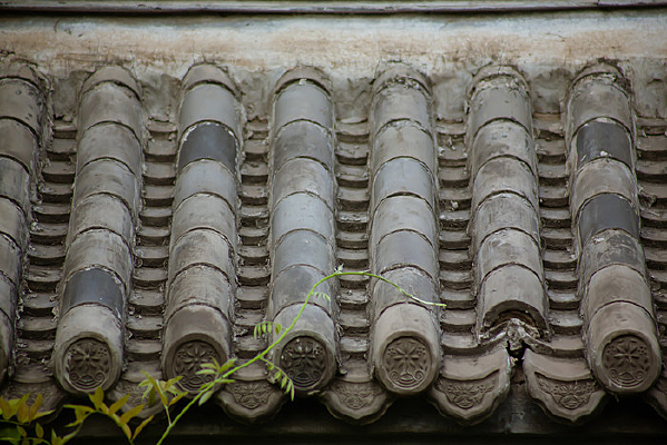 �����Ϸ�