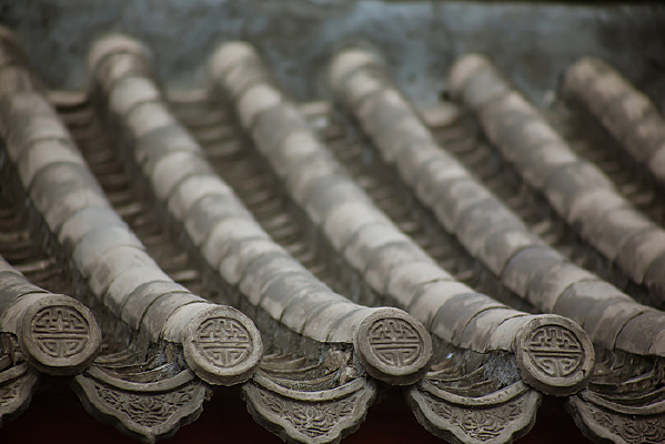 �ߵ�����