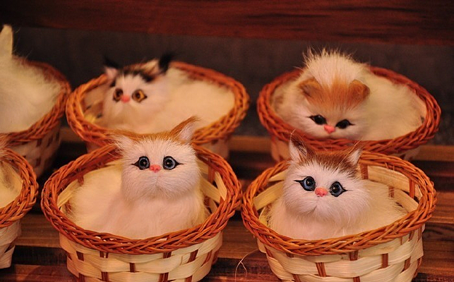 �������Сè