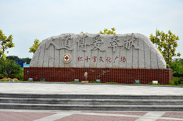 ��ʮ���Ļ�