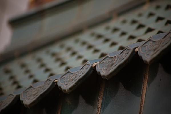 �����ʵ�