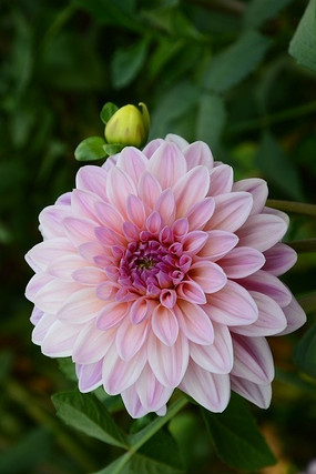 ���޻���ͼƬ�ز�