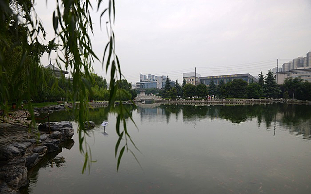 ����һ��