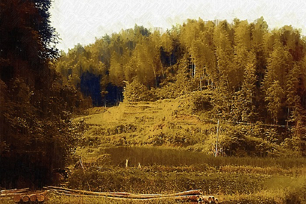 �����ͻ�