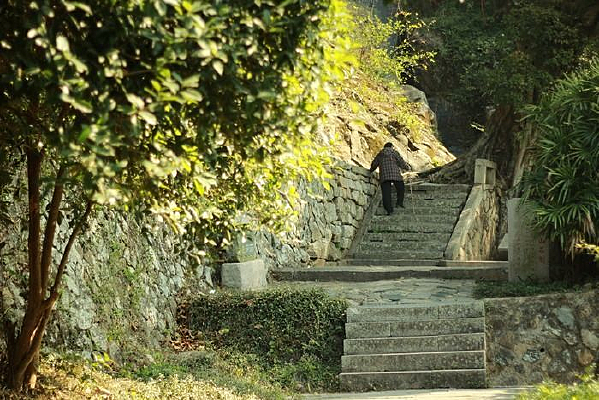 ���е�����