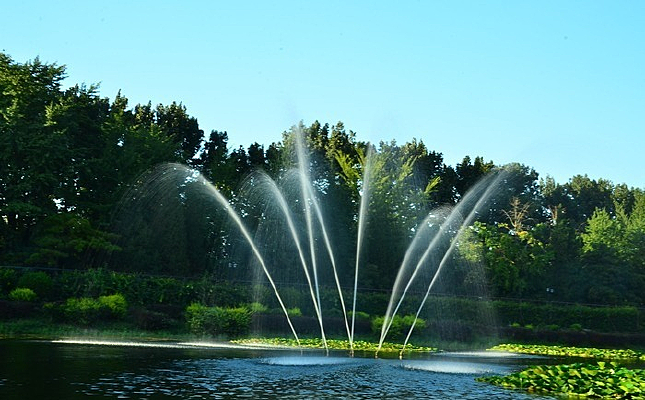 ������Ȫ