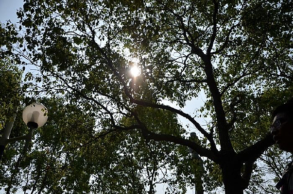 ����е���