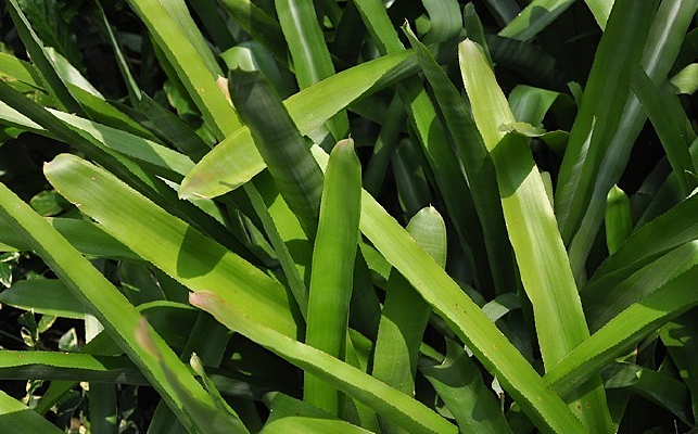 �ȴ������еĻ�