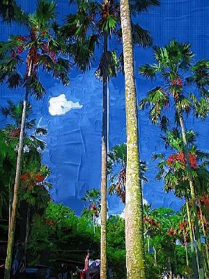 ����Ҭ��