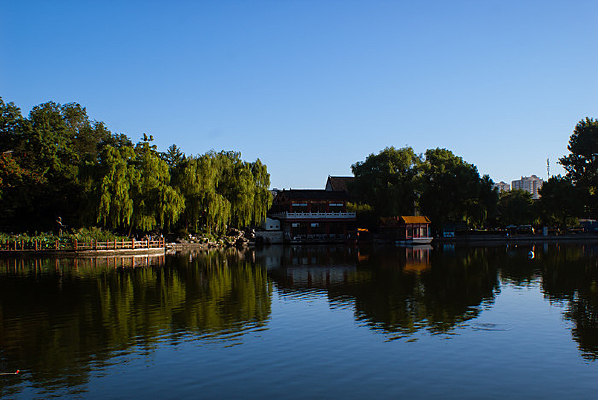 ����ƽ������