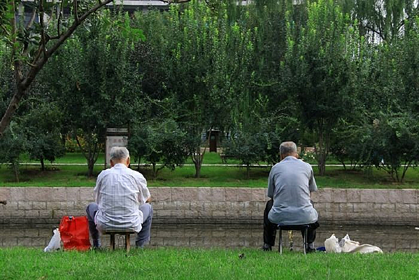 ���е�����