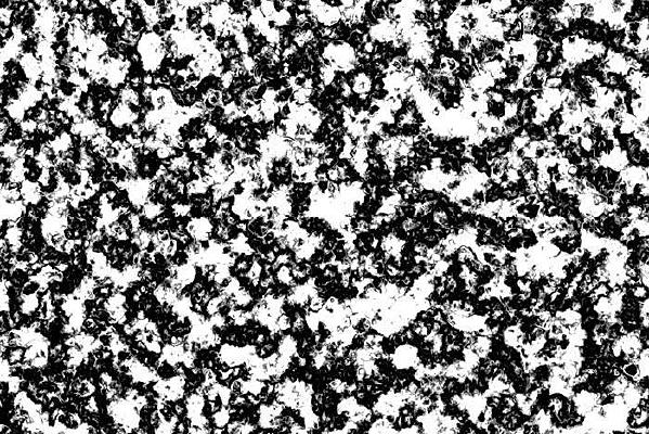 �ذ�����