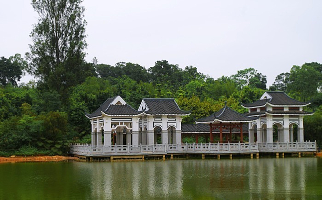 ��ɫ����