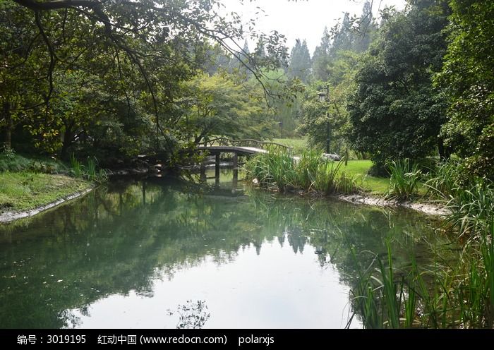 公園裡的小橋流水