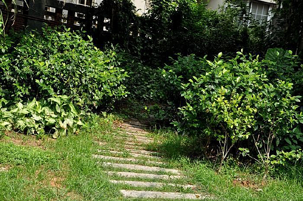 �������С·