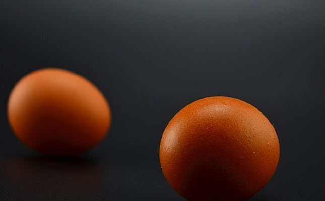 ��ɫ����