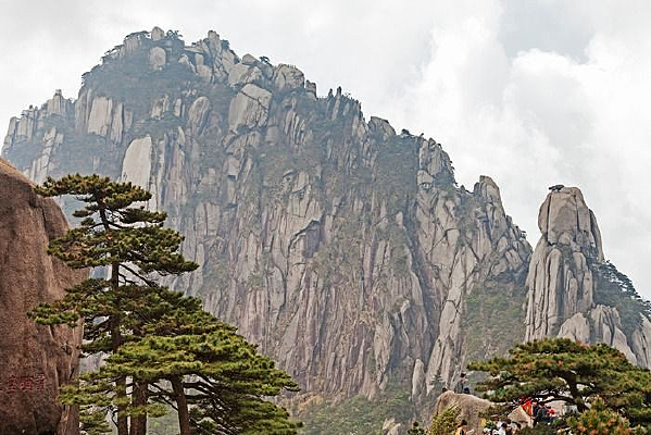 �������춼