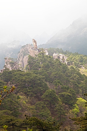 Զ����ɽ��