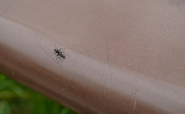 ����΢��