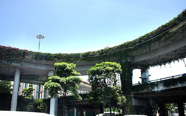 �����̻�