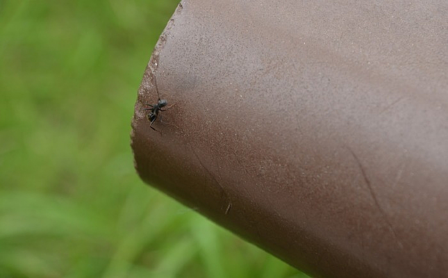 ʯͷ�ϵ�����