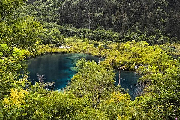 ��կ��������