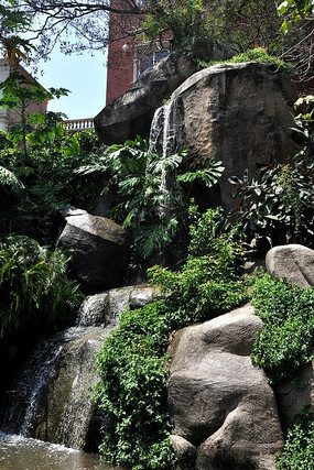 ���Ź����컨԰