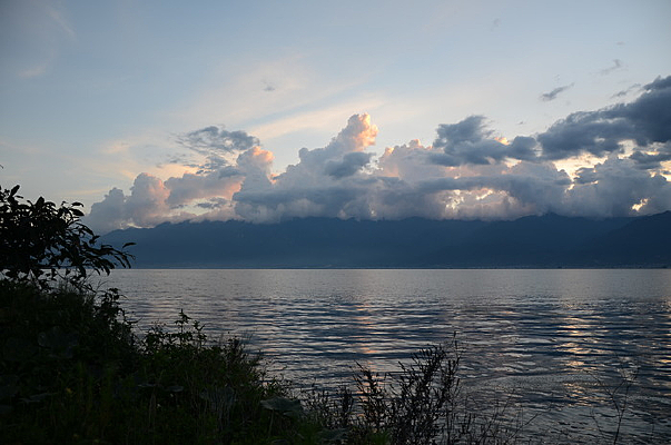 �����Ķ���