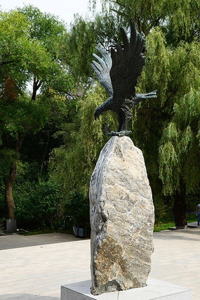 ����չ�����