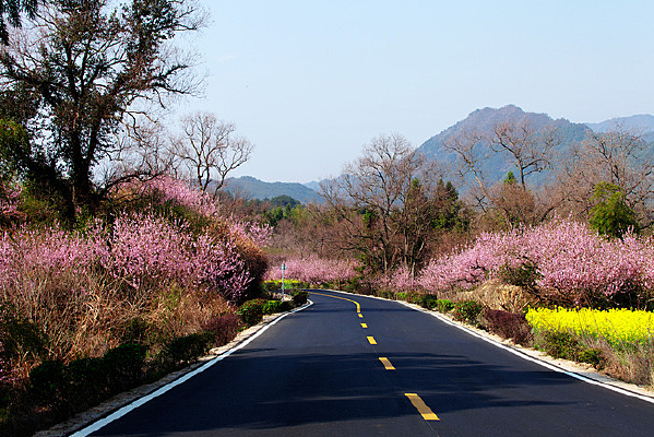 ʢ����Ұ��