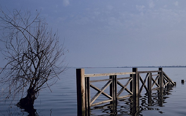 �����ķ羰