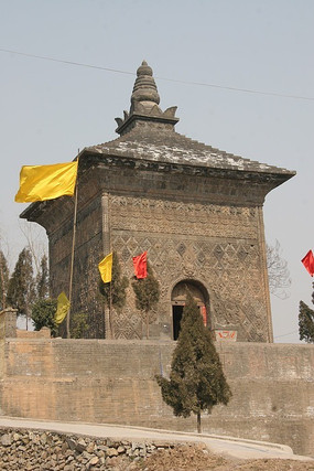 �����ƺ�