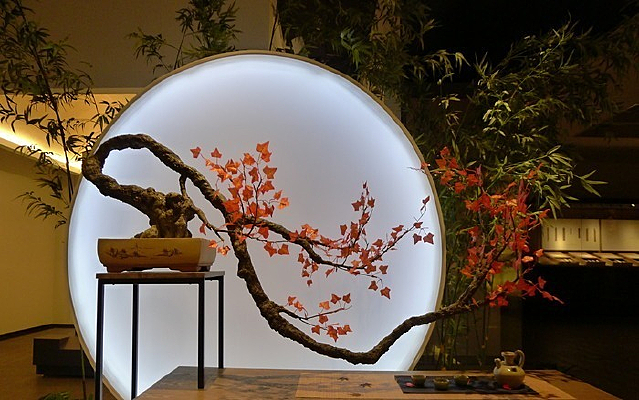 �й����鷿