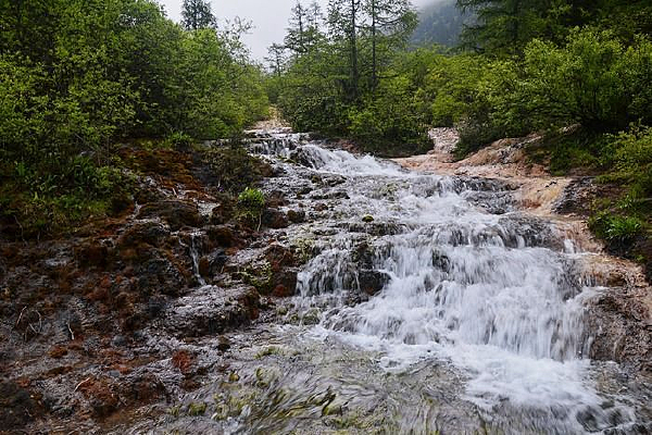 �����ƻ��ٲ�