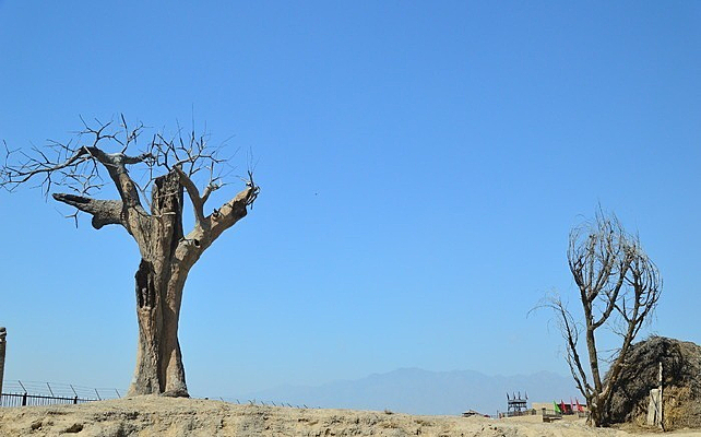 �����ϵ���