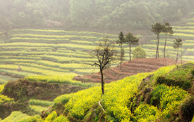 ɽˮ��԰ũ����