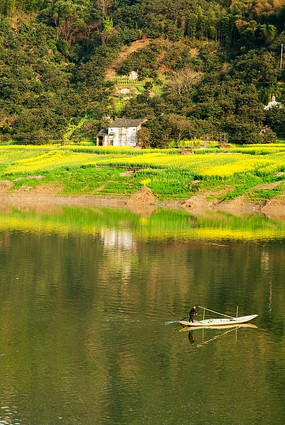 �Ӱ����Ͳ˻�