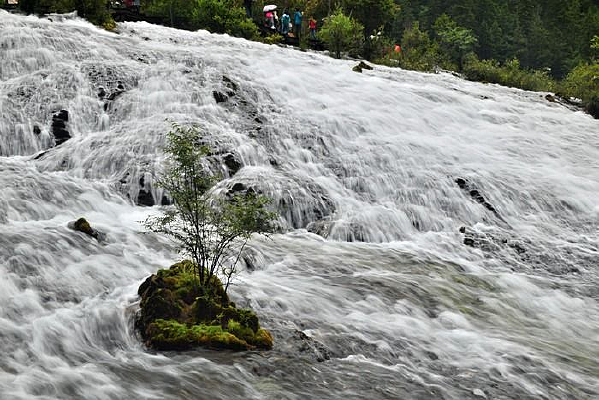 ����̲��