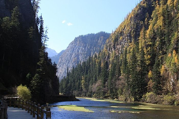 ��կ����