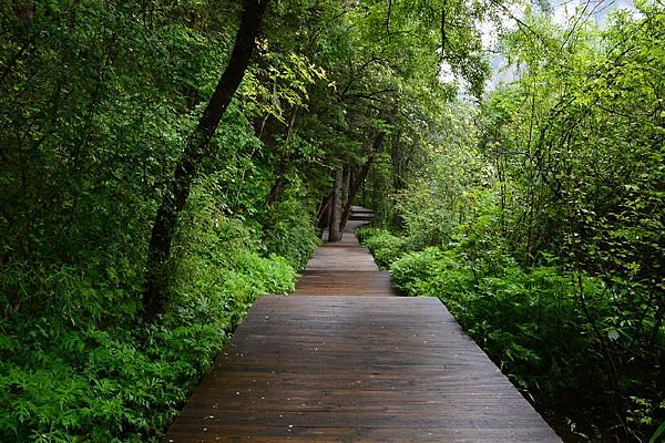 ��կ��ջ��