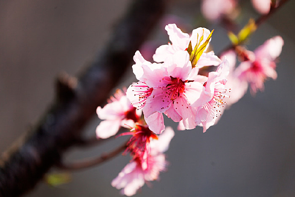 ���һ���