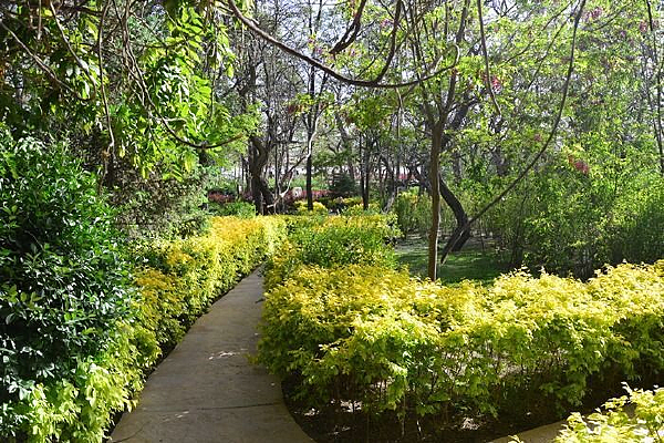 ��԰����