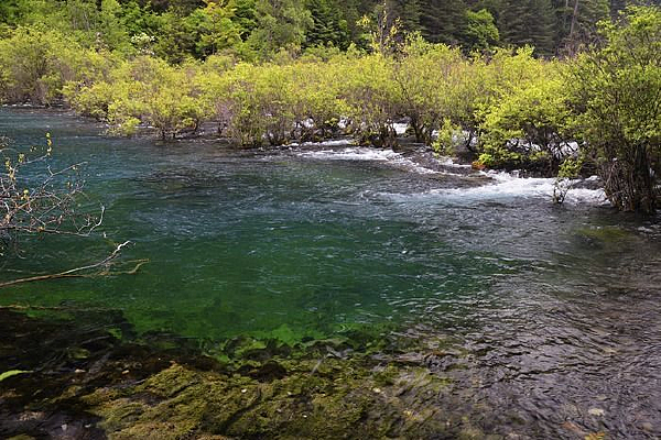 ��ɫ����