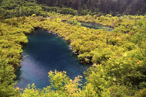 ��կ����������