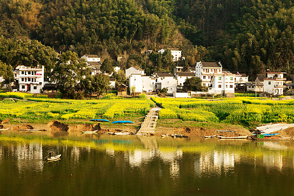 ��֦����